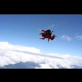 Ligty's profile picture. Can play cricket.