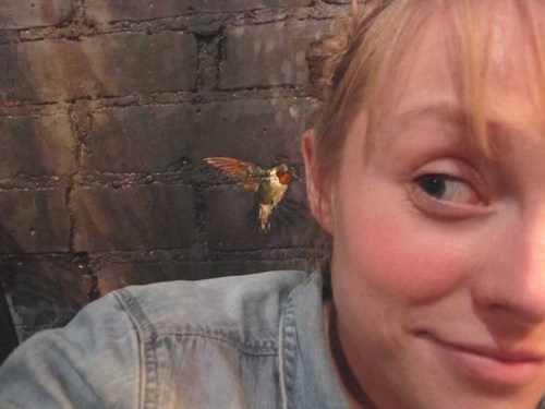 andkarenshow's profile picture. 