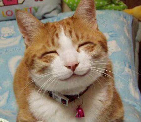 bo0wy1987's profile picture. 