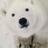 paddlepolarbear