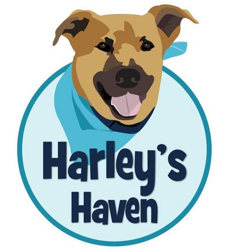 HarleysHaven222's profile picture. We're a dog rescue located outside of Philadelphia with a big mission: to save as many homeless dogs as possible!
https://t.co/OYKOWO5pSW