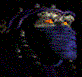 Shack_Pack's profile picture. 