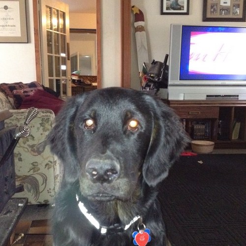 trevorGrimston8's profile picture. 