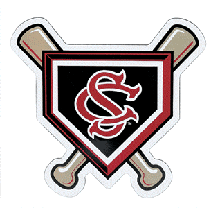 Works at Blythewood High School, soccer is one of my favorite sports, Gamecocks are my fan choice and much more...