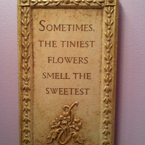 PetiteProbs's profile picture. dont call me short, I'm petite.