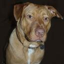 Bill Kibbe - @Z1rider - Twitter