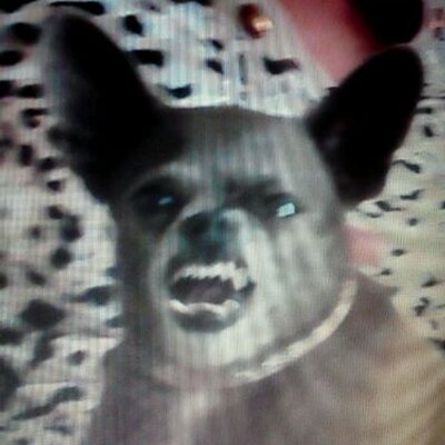 Profile Picture of Josh Booher (@Volman2009) on Twitter