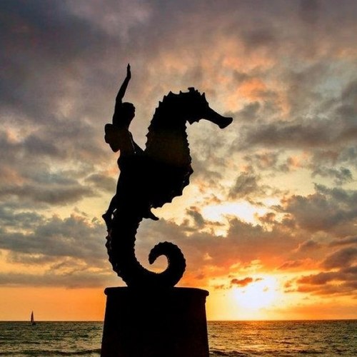 TianguisVta2012's profile picture. Informacion del Tianguis Turistico 2012 Puerto Vallarta y Riviera Nayarit / Official news about the Tianguis Turistico 2012 Puerto Vallarta & Riviera Nayarit