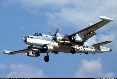 nuclant's profile picture. 20 yr. Navy vet. 30 yrs. nuclear industry. American lover.