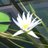 oqm969's profile image