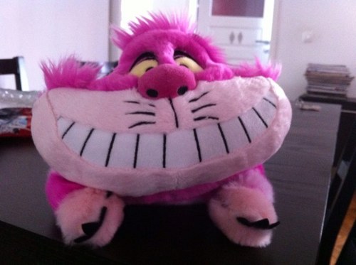 miss_baptista's profile picture. Journalist at Dinheiro Vivo