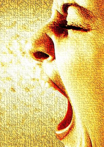 Dicharacheros's profile picture. Dichos, frases celebres, e irreverentes....y poesia.