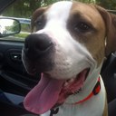 frank perrin - @friz3rd - Twitter