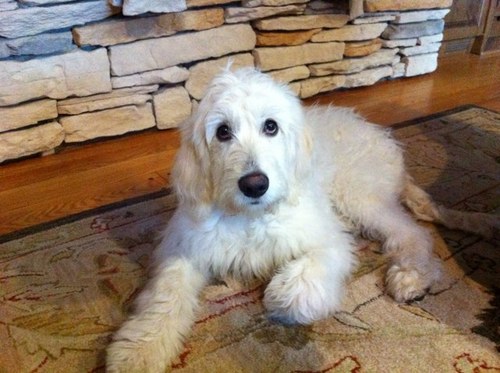 strommene's profile picture. 