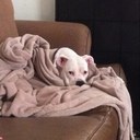 Kris Estes - @Estes3833 - Twitter