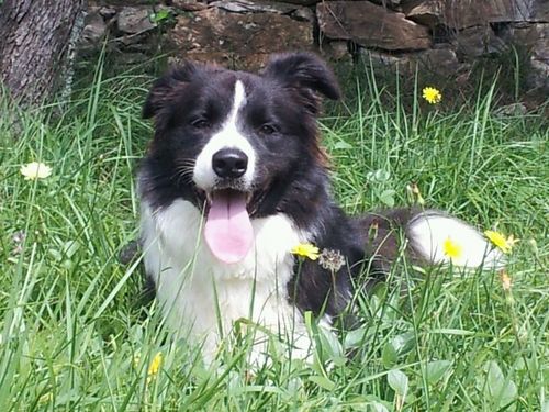 settanta6robby's profile picture. 