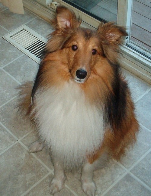 kenna3637's profile picture. 