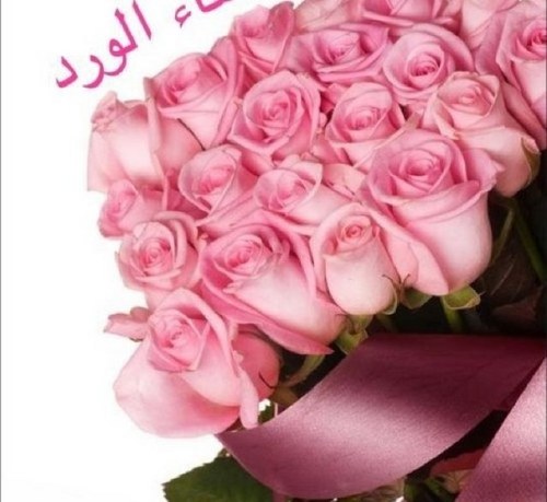 f_maryoom's profile picture. 