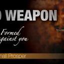 Lillian Key - @GrannieGrand - Twitter