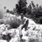 robertbucek's profile image