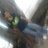 azlan_aiman95's profile image