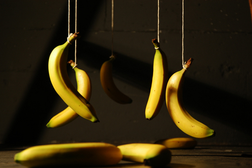 RoyDoggProject's profile picture. The Official Roy Dogg Project twitter page.
Send Donations or CD information to TheRoyDoggProject@gmail.com