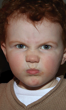 Punchingdove's profile picture. Im a pro gambler.