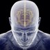 NeuroImmunoPharm (@neuimmunopharm) Twitter profile photo NeuroImmunoPharm (@neuimmunopharm) Twitter profile photo