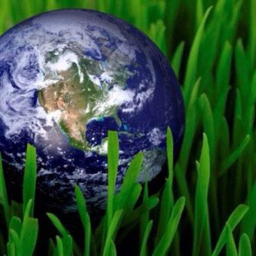 cperezlanzac's profile picture. Caleta Homes • Property Management • Hospitality & Real Estate • Holiday Rentals • AVVA • FEVITUR •