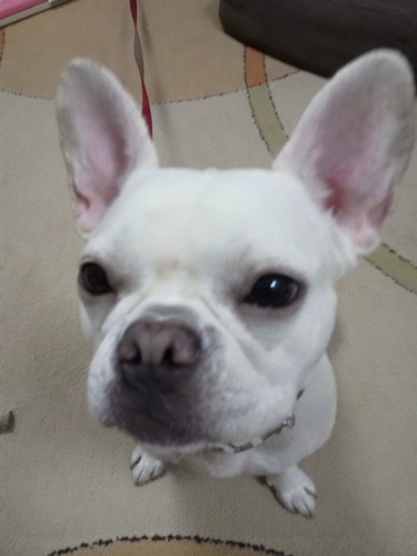 nao_1977's profile picture. 