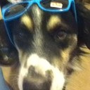 Tom quirk - @Quirky95 - Twitter