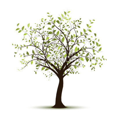 newleafjoinery's profile picture. 