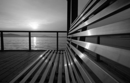 paihonen's profile picture. 