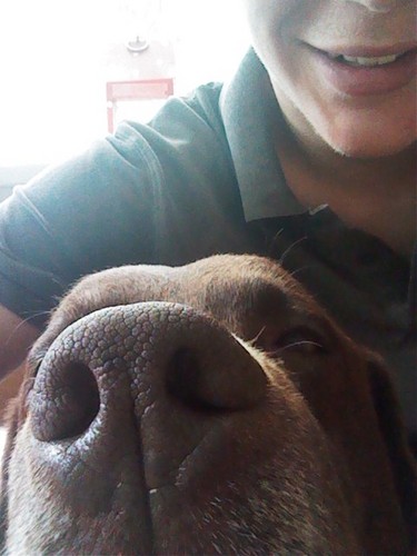 BasssssT's profile picture. Waakhond bij de Tijink's. Af en toe een tikkeltje lui.