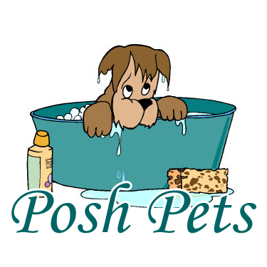 PoshPets_UK's profile picture. We are a professional family run dog grooming salon in Cliffsend with qualified staff. We offer a collection and delivery service.