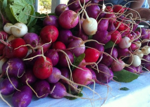 CaliburnFarmsNC's profile picture. 