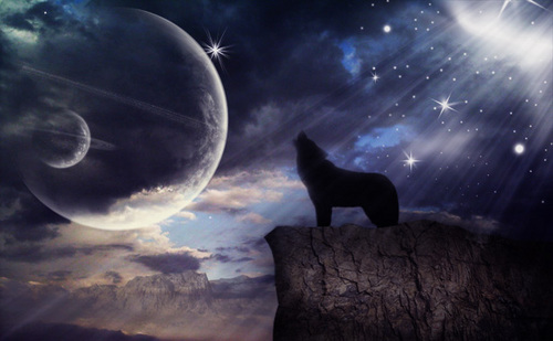 kasey_choq's profile picture. well, i love knifes, guitar, saxophone, and many other things. life is a theme park, choose your own rides.