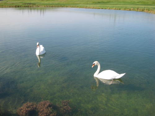 rmckenzie62's profile picture. 