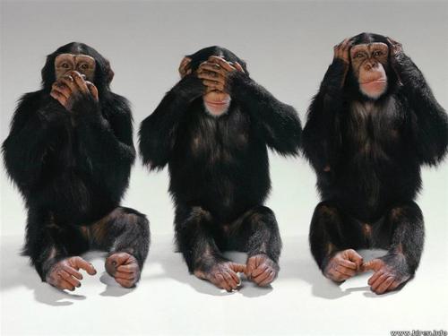 WatchingTWBC's profile picture. Live in Tunbridge Wells? Fed up with our council wasting money? Too much Red Tape? So am I. Let me know & lets see what we can do together.