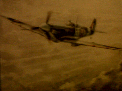 yatesy_95's profile picture. Me