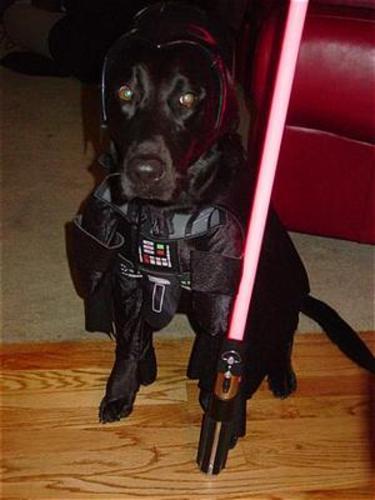 JamesPistach's profile picture. 