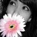 CatC (@cattleeya_c) Twitter profile photo CatC (@cattleeya_c) Twitter profile photo