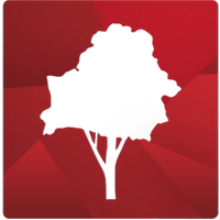 UDF.NAME (@_belarus) 's Twitter Profile