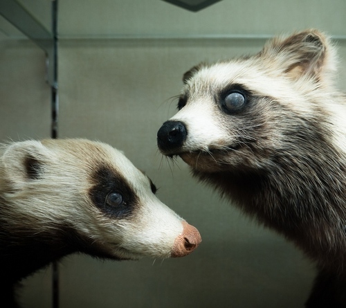 openthenext's profile picture. 