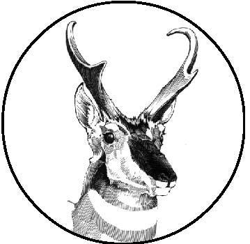 The American Society of Mammalogists was established in 1919 for the purpose of promoting interest in the study of mammals.  This is the official account.