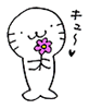 hanamaru555's profile picture. (ー_ー)