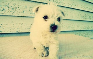 JJW126's profile picture. 