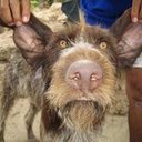 Abdul Jacobs - @chiaritytriy - Twitter