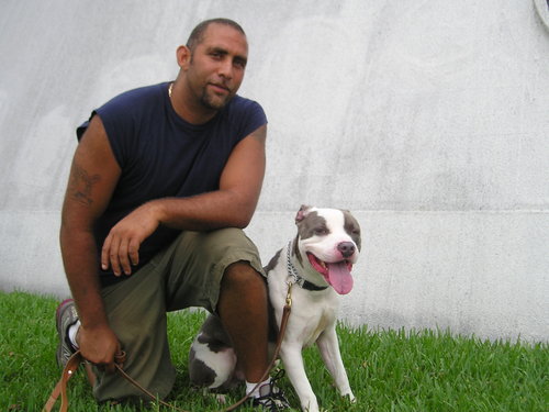 Zephyr Clarke-Dolberg of Greater Boston Dog Training is a Certified Professional Dog Trainer,  
member of IACP,APDT and is extremely passionate about dogs.