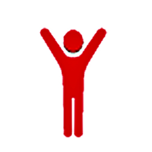 Voice and Presence Coach